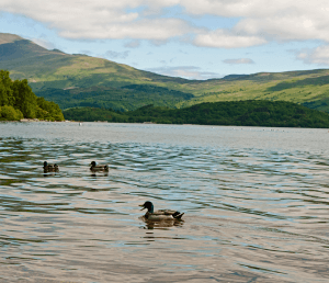 Day 02: Glasgow (Leisure Day or Optional Tour: Scottish Highlands & Loch Lomond Tour with Dinner)