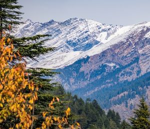 Day 4:Chandragiri hills