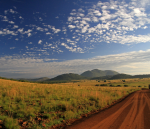 Day 8: Tambo Int Airport  - Flight back to UAE