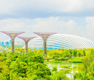 Day 05 :  Singapore (Leisure Day or Optional Tour: Marina Bay Sands, Gardens by the Bay)