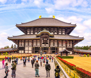 Day 7 - Osaka and Nara City Tour